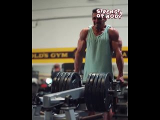 powerful workout for the back, biceps and trapeze vjoyfz nhtybhjdrf yf cgbye, ,bwtgc b nhfgtwb. vjoyfz nhtybhjdrf yf cgbye, ,bwt