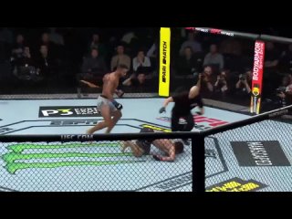 the beauty of mixed martial arts rhfcjnf cvtifyys[ tlbyj,jhcnd