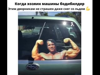 bodybuilder wipers ldjhybrb ,jlb,bklthf ldjhybrb ,jlb,bklthf ldjhybrb ,jlb,bklthf