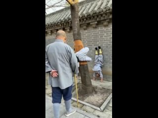 shaolin temple training nhtybhjdrb d [hfvt ifjkbym nhtybhjdrb d [hfvt ifjkbym nhtybhjdrb d [hfvt ifjkbym